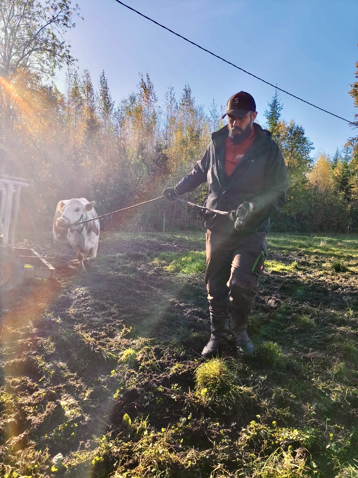 Jani Schulz, VarastoKamun perustaja